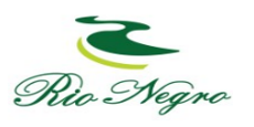 Logo Rio Negro